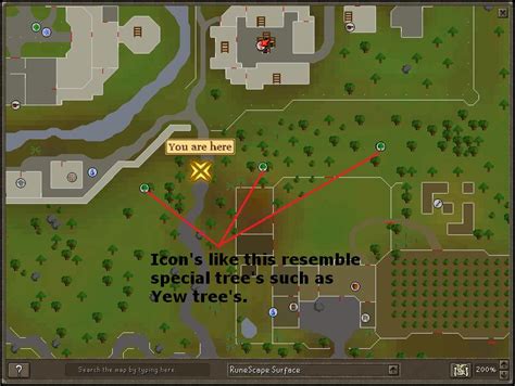 The Native Fauna and Flora of RuneScape's Magic Wood